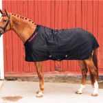 Chemise Classic